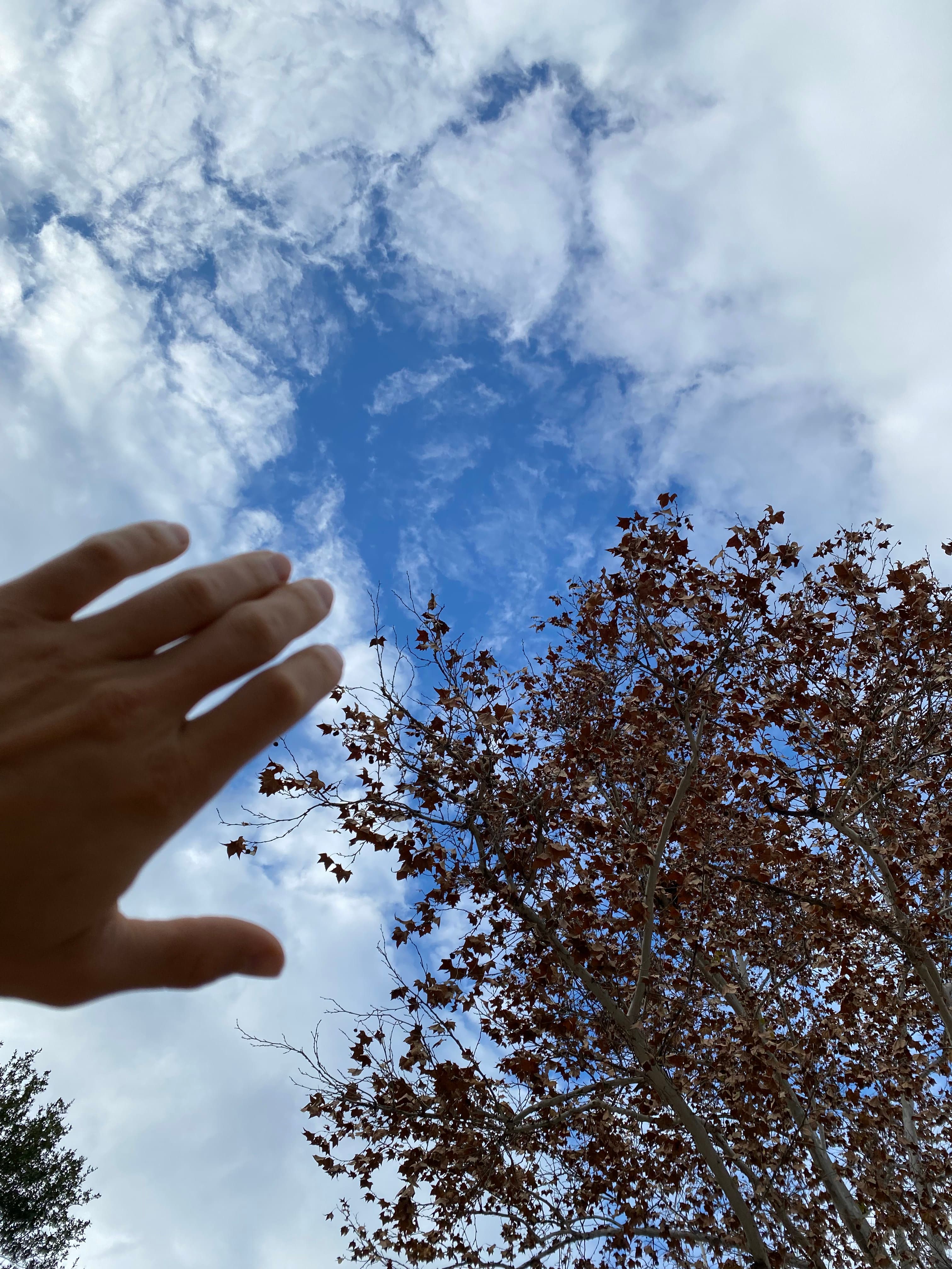 A hand reaching up toward clouds breaking over a tree