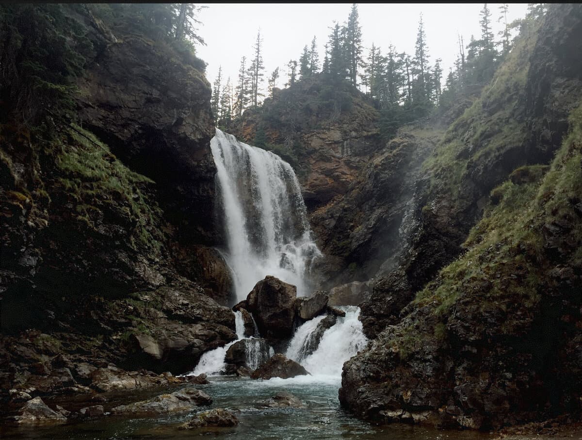 Nature Immersion